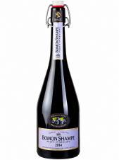 BOMON SPARKLE Černé rybíz 0,75L