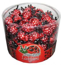 Ladybird dóza 800g
