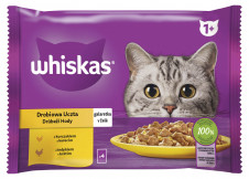 Whiskas kapsa 4 pack Drůběží v želé 4x85g