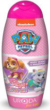 Bi-Es 2in1 PAW Patrol Sprchový gel&Šampon 250ml